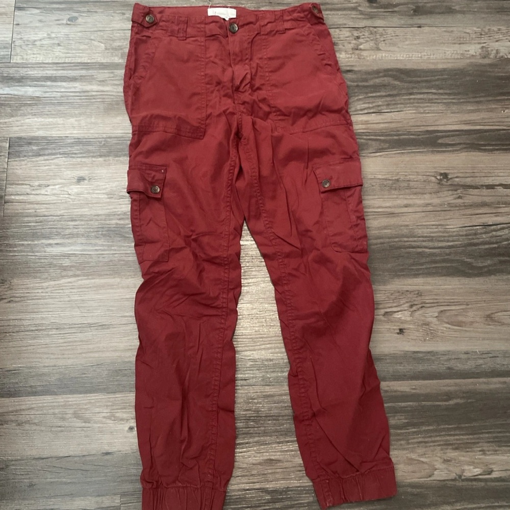 Anthropologie Dallas Carpenter Cargo Pants Joggers pockets size 26 Women’s
